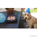 Dogs Birthday Cake Pan Novelty Silicone Bone Shape Mold for Pups Celebration Party - B014C6753W